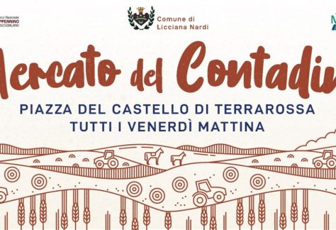 Mercato del Contadino