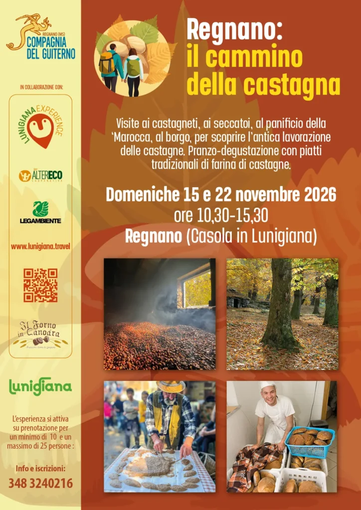 flyer domeniche regnano 2026